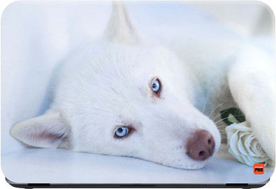 

STICKER PRO Animals_113 Premium LG Vinyl (matte) Laptop Decal 15.6