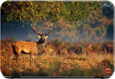 

STICKER PRO Animals_006 Premium LG Vinyl (matte) Laptop Decal 15.6