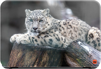 

STICKER PRO Cute Animal_207 Premium LG Vinyl (matte) Laptop Decal 15.6