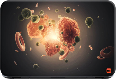 

STICKER PRO R_016 Premium LG Vinyl (matte) Laptop Decal 15.6