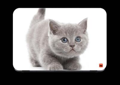 

STICKER PRO Animals_121 Premium LG Vinyl (matte) Laptop Decal 15.6