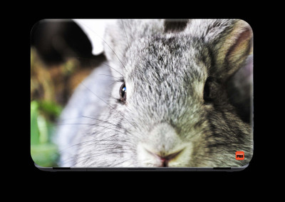 

STICKER PRO Animals_161 Premium LG Vinyl (matte) Laptop Decal 15.6