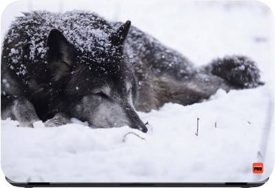 

STICKER PRO Animals_182 Premium LG Vinyl (matte) Laptop Decal 15.6