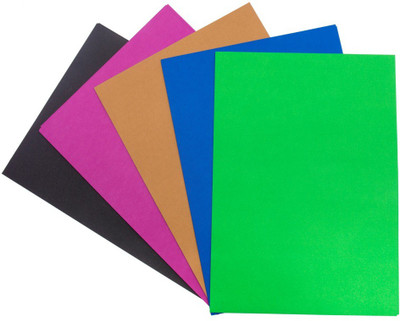 

ARTREX TREND A4 (P2) UNRULED A4 Coloured Paper(Set of 2, Multicolor)