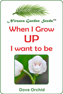 

Nirzara Garden Seeds Dove Orchid Seed(30 per packet)