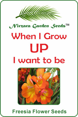 Nirzara Garden Seeds Freesia Flower Seeds Seed(30 per packet)