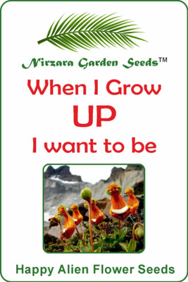 

Nirzara Garden Seeds Happy Alien Seed(30 per packet)