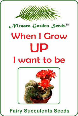 

Nirzara Garden Seeds Fairy Succulents Seeds Seed(30 per packet)