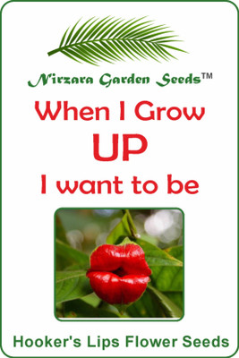 

Nirzara Garden Seeds Hooker's Lips Seed(30 per packet)