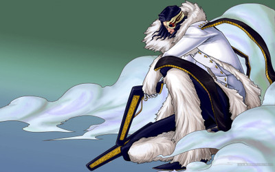 

Akhuratha Anime acools-bleach Wall Poster Paper Print(12 inch X 18 inch, Rolled)