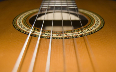 

music-strings-pony-little-guitar Wall Poster Paper Print(12 inch X 18 inch, Rolled)
