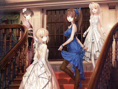 

Akhuratha Anime fatestay-night-type-moon Wall Poster Paper Print(12 inch X 18 inch, Rolled)