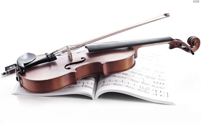 

violin Wall Poster Paper Print(12 inch X 18 inch, Rolled)