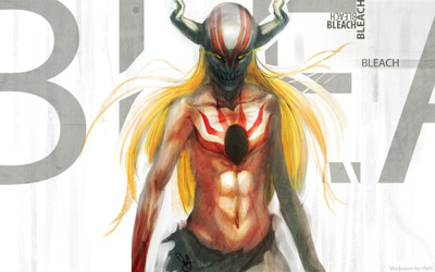 

Akhuratha Anime bleach-photo-galleryws Wall Poster Paper Print(12 inch X 18 inch, Rolled)
