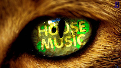 

Akhuratha music-house Wall Poster Paper Print(12 inch X 18 inch, Rolled)