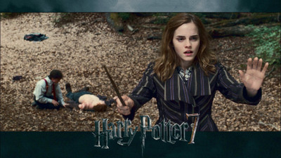 

Aabhaas harry-potter-deathly-hallows--video-movie-best Wall Poster Paper Print(12 inch X 18 inch, Rolled)