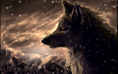 Akhuratha Anime wolves Wall Poster Paper Print(12 inch X 18 inch, Rolled)
