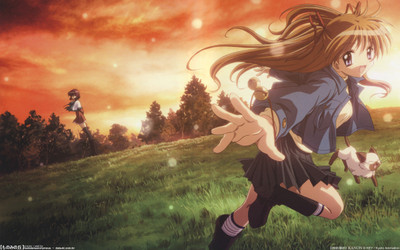 

Akhuratha Anime kanon-images Wall Poster Paper Print(12 inch X 18 inch, Rolled)