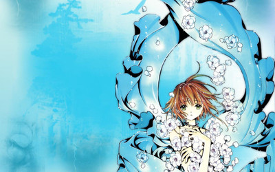 

Akhuratha Anime amiscellaneous Wall Poster Paper Print(12 inch X 18 inch, Rolled)