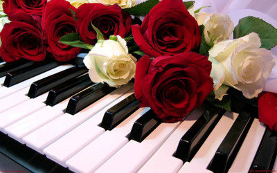 

musica-rosas-piano Wall Poster Paper Print(12 inch X 18 inch, Rolled)