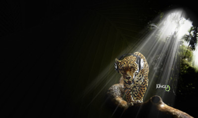 

Akhuratha leopard-listening-music-audio-jungle Wall Poster Paper Print(12 inch X 18 inch, Rolled)