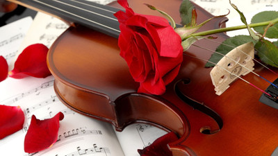 

Akhuratha sheet-petal-rose-violin Wall Poster Paper Print(12 inch X 18 inch, Rolled)