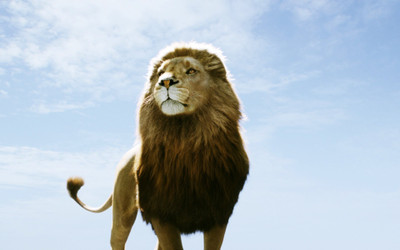 

Wall Poster a/movies-treader-narnia-aslan Paper Print(12 inch X 18 inch, Rolled)