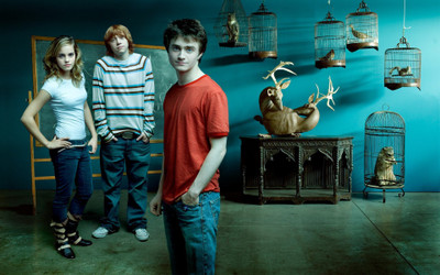 

Aabhaas harry-potter-emma-watson-movie-celebrities Wall Poster Paper Print(12 inch X 18 inch, Rolled)
