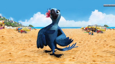 

Wall Poster a/wallpaper-bird-birds-pixel-movie-jewel-female-larges Paper Print(12 inch X 18 inch, Rolled)