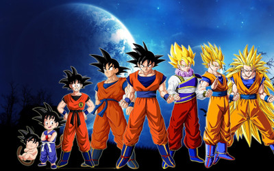 

Akhuratha Anime aevolution-dragonballs-dragon-ball Wall Poster Paper Print(12 inch X 18 inch, Rolled)