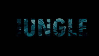 

-jungle-music Wall Poster Paper Print(12 inch X 18 inch, Rolled)