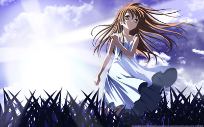 

Akhuratha Anime aboy-hair-other-clannads Wall Poster Paper Print(12 inch X 18 inch, Rolled)