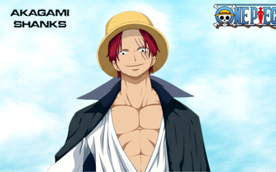 

Akhuratha Anime piece-pirate-straw-piratess Wall Poster Paper Print(12 inch X 18 inch, Rolled)