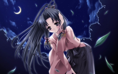 

Akhuratha Anime aresults-scenic--search-images-night-moon Wall Poster Paper Print(12 inch X 18 inch, Rolled)