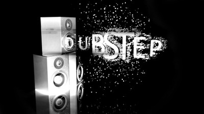 

dubsteps Wall Poster Paper Print(12 inch X 18 inch, Rolled)