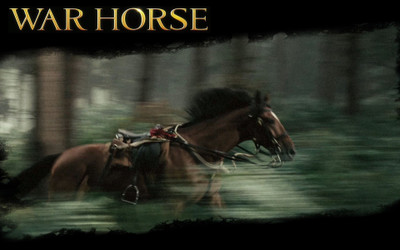 

Aabhaas war-horse-paper-house Wall Poster Paper Print(12 inch X 18 inch, Rolled)