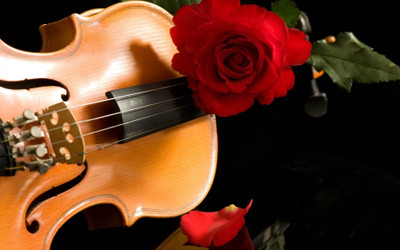 

love-rose-music Wall Poster Paper Print(12 inch X 18 inch, Rolled)