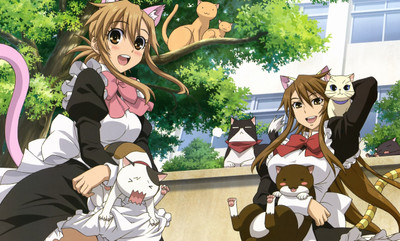 

Akhuratha Anime wanime-maid Wall Poster Paper Print(12 inch X 18 inch, Rolled)