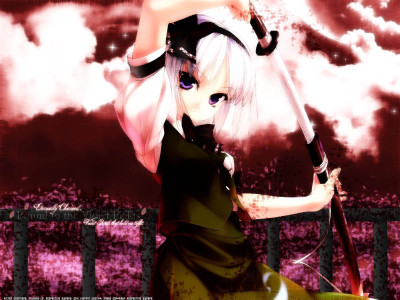 

Akhuratha Anime touhou-konpaku-youmu Wall Poster Paper Print(12 inch X 18 inch, Rolled)