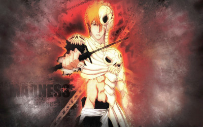

Akhuratha Anime ableachs-images Wall Poster Paper Print(12 inch X 18 inch, Rolled)