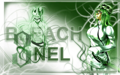 

Akhuratha Anime bleach-neliels Wall Poster Paper Print(12 inch X 18 inch, Rolled)