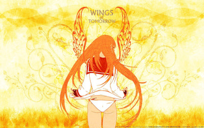 

Akhuratha Anime anime-air-gear-simca Wall Poster Paper Print(12 inch X 18 inch, Rolled)
