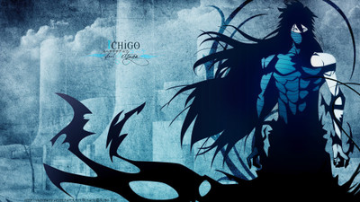 

Akhuratha Anime bleach Wall Poster Paper Print(12 inch X 18 inch, Rolled)