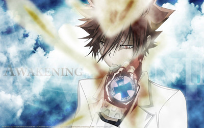 

Akhuratha Anime designs-reborns-hitman Wall Poster Paper Print(12 inch X 18 inch, Rolled)