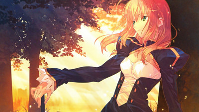 

Akhuratha Anime fatestay-night-saber Wall Poster Paper Print(12 inch X 18 inch, Rolled)