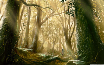 

Akhuratha Anime woods Wall Poster Paper Print(12 inch X 18 inch, Rolled)