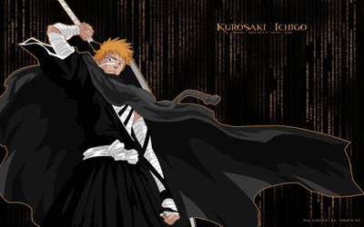 

Akhuratha Anime bleach-landscape-manga Wall Poster Paper Print(12 inch X 18 inch, Rolled)