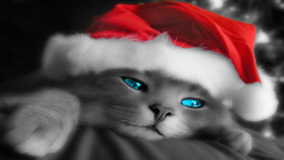 

Akhuratha Anime achristmas-pixels-collections-awesome Wall Poster Paper Print(12 inch X 18 inch, Rolled)