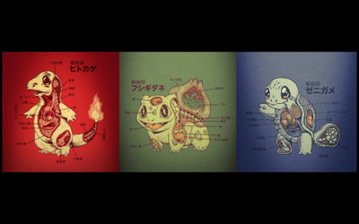 

Akhuratha Anime anatomy-bulbasaur-charmander-pkemon-squirtle-starter Wall Poster Paper Print(12 inch X 18 inch, Rolled)
