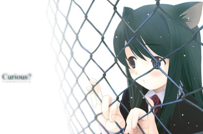 

Akhuratha Anime anime-curious-general-s- Wall Poster Paper Print(12 inch X 18 inch, Rolled)